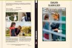 rumeurs (telefilm)